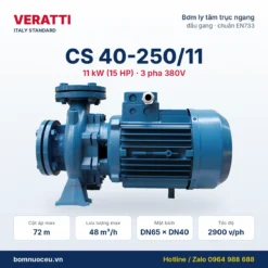 Bơm trục ngang Veratti CS40-250/11 11kW 380V