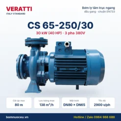 Bơm trục ngang Veratti CS65-250/30 30kW 380V