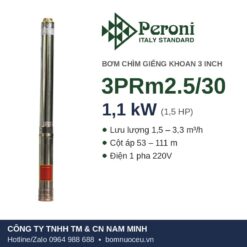 Bơm chìm giếng khoan Peroni 3PRm2.5/30 1,1 kW